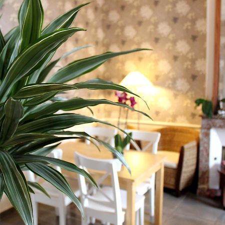 Hotel Les Aubepines Illiers-Combray Екстер'єр фото