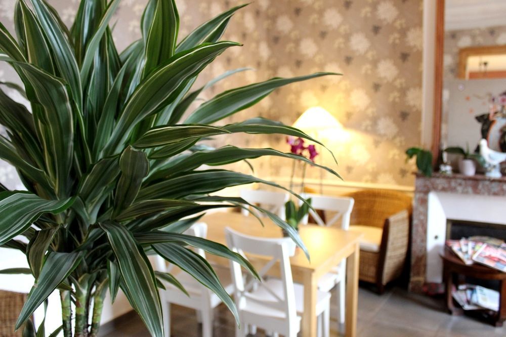 Hotel Les Aubepines Illiers-Combray Екстер'єр фото